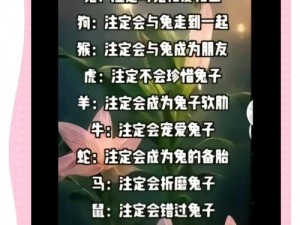 结婚当晚如何与伴侣享受小兔兔？