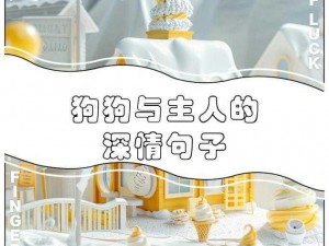 跟狗狗做了四小时_与狗狗共度的四小时：探索、陪伴与快乐