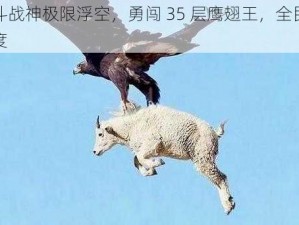 全民斗战神极限浮空，勇闯 35 层鹰翅王，全民挑战新高度