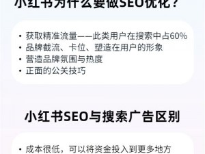 我要搞懂百度 SEO 优化，怎样做才能符合规范？