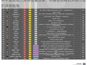 雨中冒险双人游戏设置攻略：从冒险启程到并肩作战的详细指南