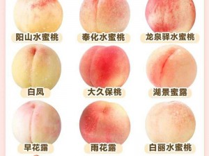 为什么日本水蜜桃身体如此受欢迎？