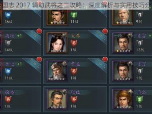 三国志 2017 辅助武将之二攻略：深度解析与实用技巧分享