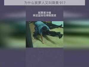 为什么拔萝人又叫降黄 91？