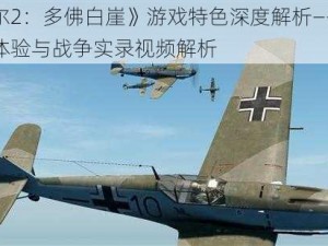 《伊尔2：多佛白崖》游戏特色深度解析——震撼视觉体验与战争实录视频解析