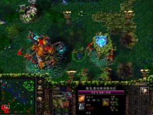 DotA人雷区攻略：实用图解带你掌握核心雷区技巧与战术应用