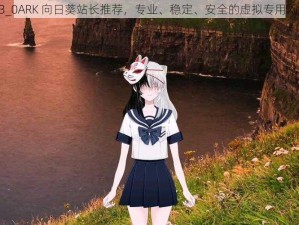 XRK1_3_0ARK 向日葵站长推荐，专业、稳定、安全的虚拟专用网络服务