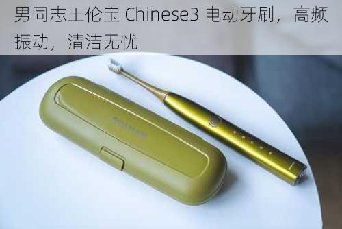 男同志王伦宝 Chinese3 电动牙刷,高频振动,清洁无忧