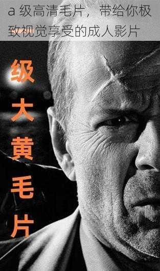 a 级高清毛片,带给你极致视觉享受的成人影片