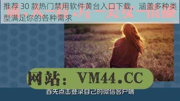 推荐 30 款热门禁用软件黄台入口下载，涵盖多种类型满足你的各种需求