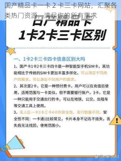 国产精品卡一卡 2 卡三卡网站，汇聚各类热门资源，满足你的所有需求