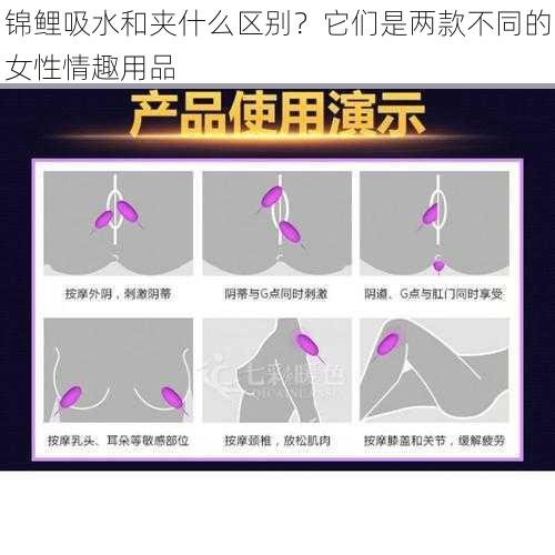 锦鲤吸水和夹什么区别？它们是两款不同的女性情趣用品