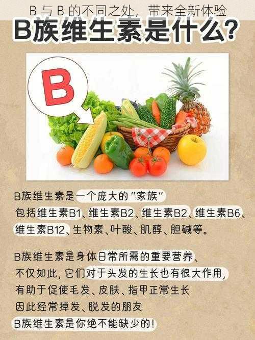 B 与 B 的不同之处，带来全新体验