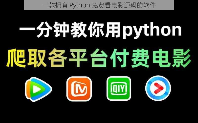 一款拥有 Python 免费看电影源码的软件