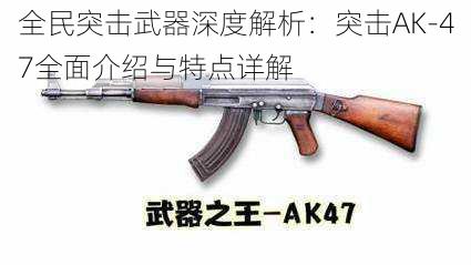 全民突击武器深度解析：突击AK-47全面介绍与特点详解