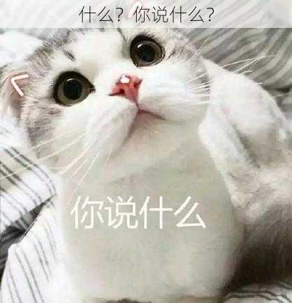 什么？你说什么？