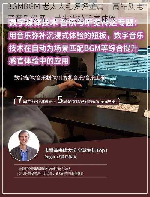 BGMBGM 老太太毛多多金属：高品质电子音乐设备，带来震撼听觉体验