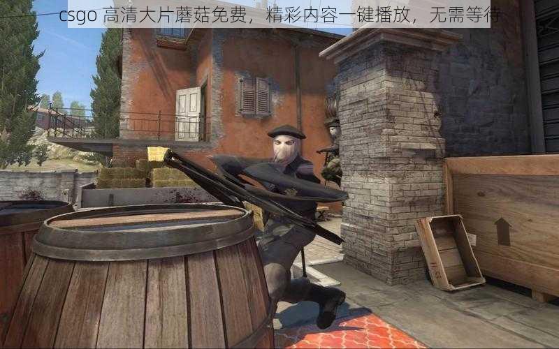 csgo 高清大片蘑菇免费，精彩内容一键播放，无需等待