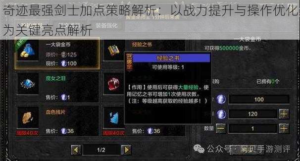 奇迹最强剑士加点策略解析：以战力提升与操作优化为关键亮点解析