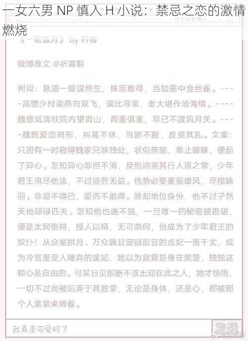 一女六男 NP 慎入 H 小说：禁忌之恋的激情燃烧