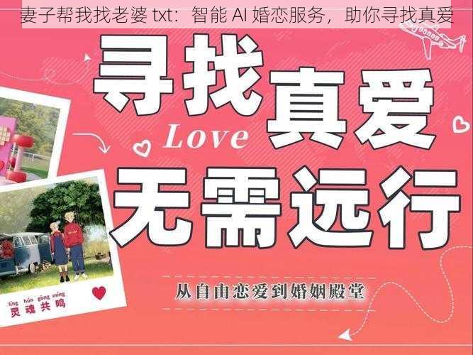 妻子帮我找老婆 txt：智能 AI 婚恋服务，助你寻找真爱