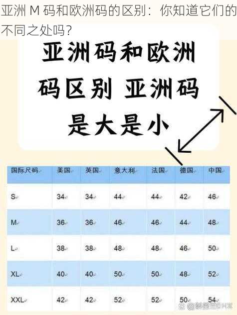 亚洲 M 码和欧洲码的区别：你知道它们的不同之处吗？