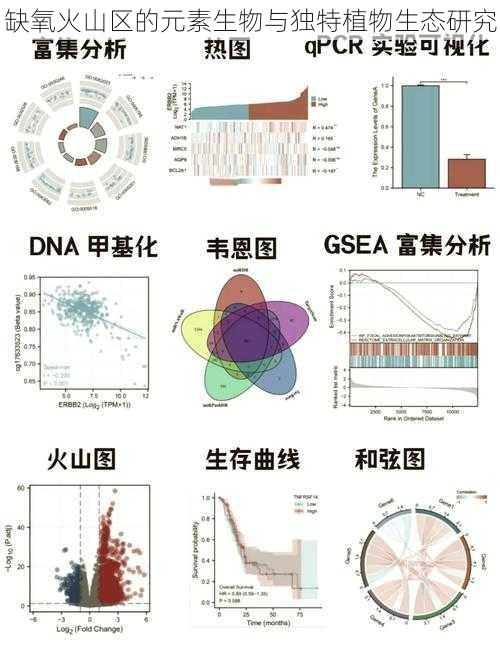 缺氧火山区的元素生物与独特植物生态研究