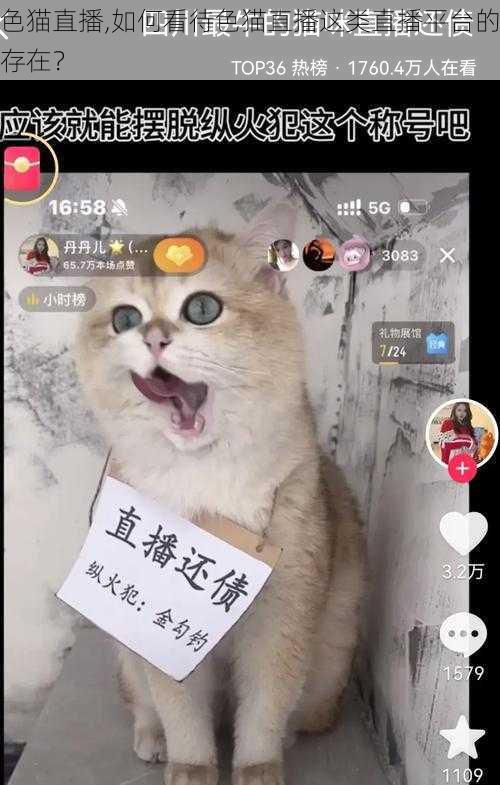 色猫直播,如何看待色猫直播这类直播平台的存在？