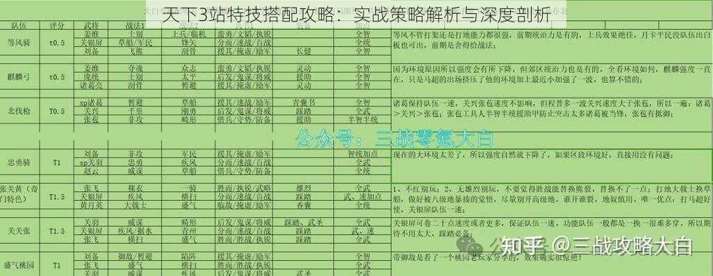 天下3站特技搭配攻略：实战策略解析与深度剖析