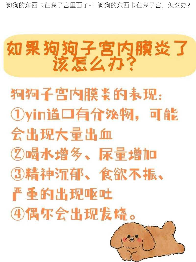 狗狗的东西卡在我子宫里面了-：狗狗的东西卡在我子宫，怎么办？