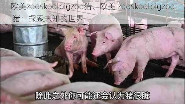 欧美zooskoolpigzoo猪、欧美 zooskoolpigzoo 猪：探索未知的世界