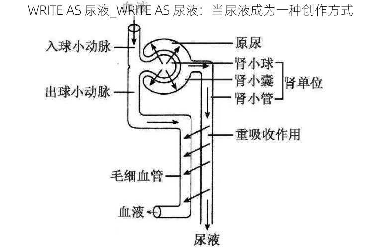 WRITE AS 尿液_WRITE AS 尿液：当尿液成为一种创作方式