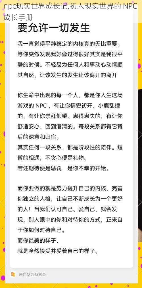 npc现实世界成长记,初入现实世界的 NPC 成长手册