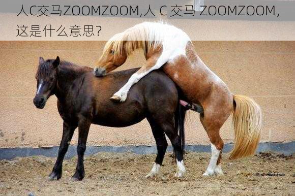 人C交马ZOOMZOOM,人 C 交马 ZOOMZOOM，这是什么意思？