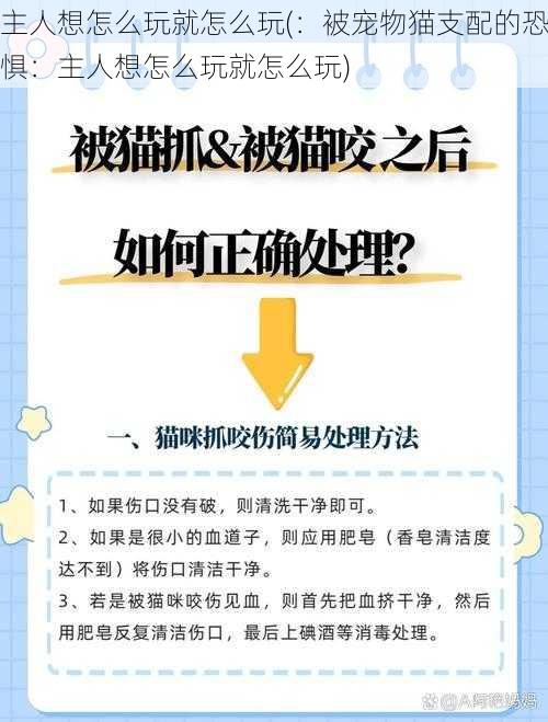 主人想怎么玩就怎么玩(：被宠物猫支配的恐惧：主人想怎么玩就怎么玩)