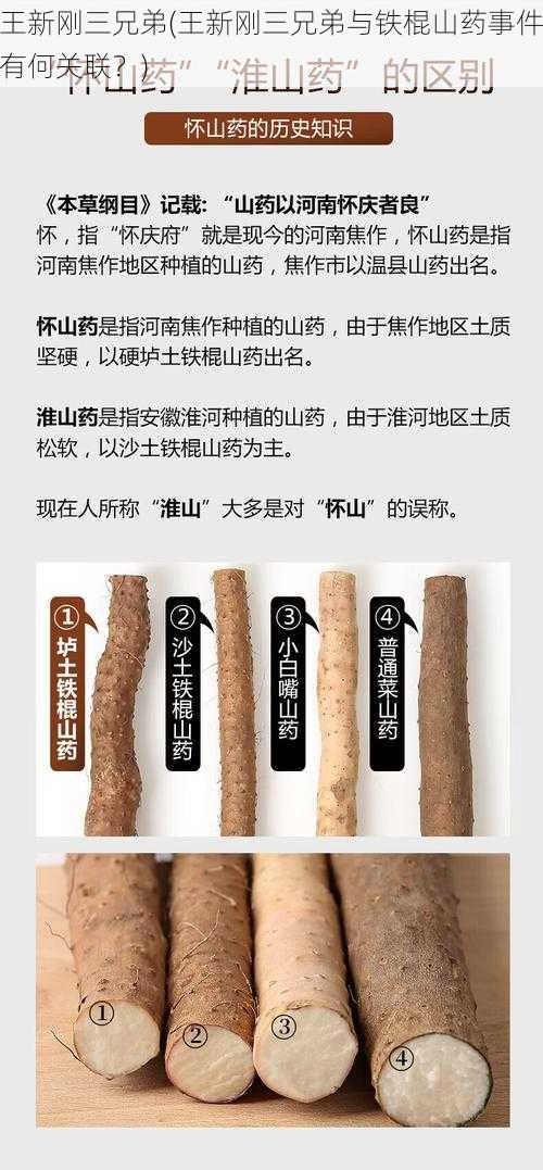 王新刚三兄弟(王新刚三兄弟与铁棍山药事件有何关联？)