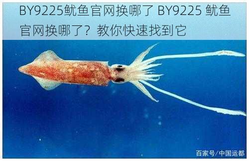 BY9225鱿鱼官网换哪了 BY9225 鱿鱼官网换哪了？教你快速找到它