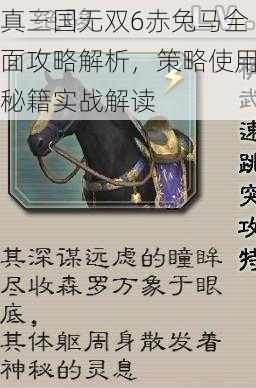 真三国无双6赤兔马全面攻略解析，策略使用秘籍实战解读