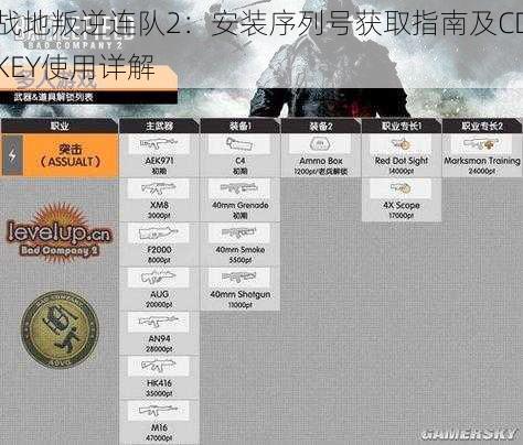 战地叛逆连队2：安装序列号获取指南及CDKEY使用详解