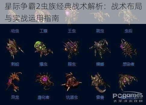 星际争霸2虫族经典战术解析：战术布局与实战运用指南