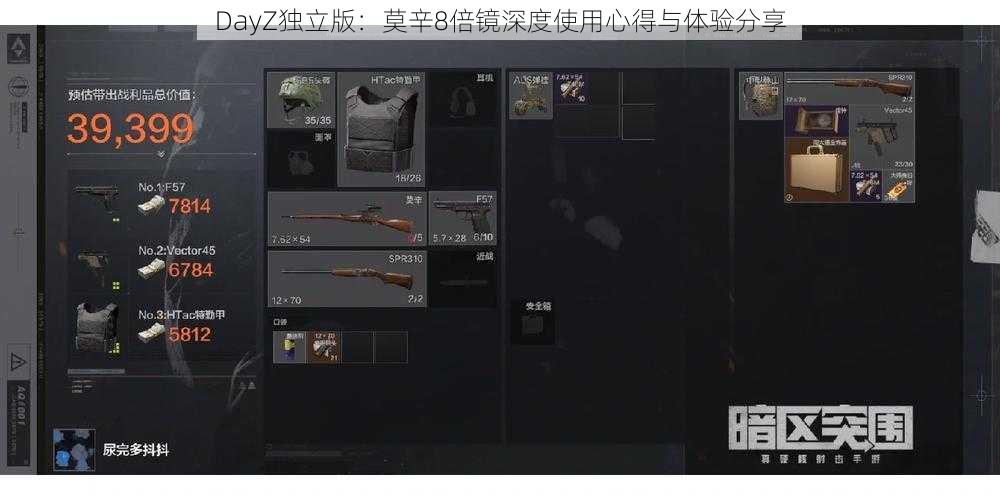 DayZ独立版：莫辛8倍镜深度使用心得与体验分享