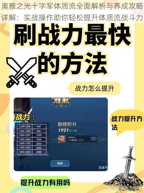 奥雅之光十字军体质流全面解析与养成攻略详解：实战操作助你轻松提升体质流战斗力