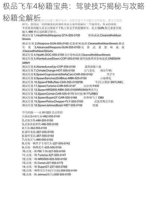 极品飞车4秘籍宝典：驾驶技巧揭秘与攻略秘籍全解析