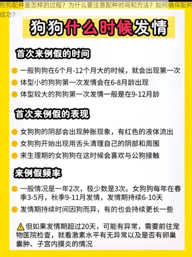 狗狗配种是怎样的过程？为什么要注意配种时间和方法？如何确保配种成功？