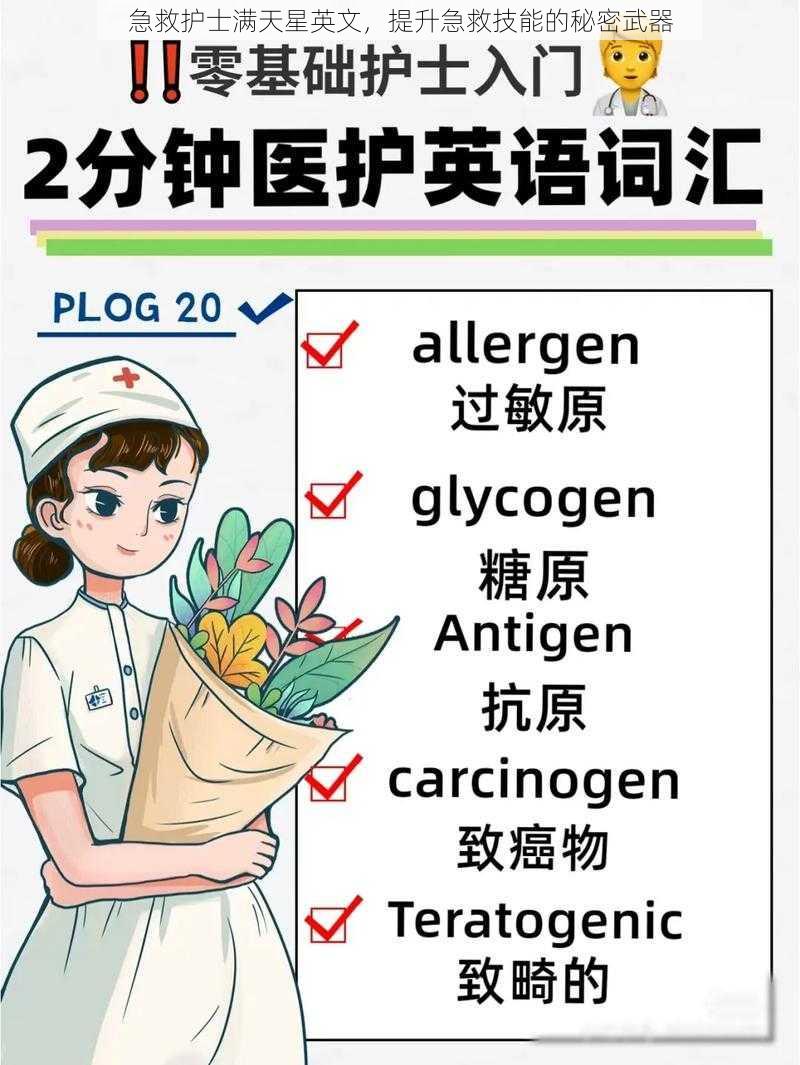 急救护士满天星英文，提升急救技能的秘密武器