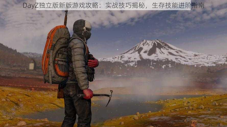 DayZ独立版新版游戏攻略：实战技巧揭秘，生存技能进阶指南