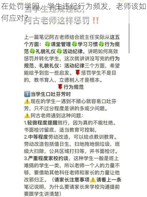 在处罚学园，学生违纪行为频发，老师该如何应对？