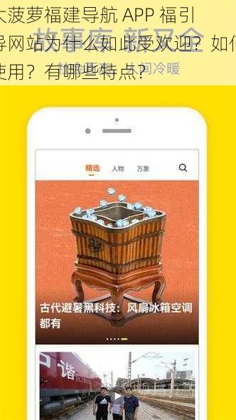 大菠萝福建导航 APP 福引导网站为什么如此受欢迎？如何使用？有哪些特点？