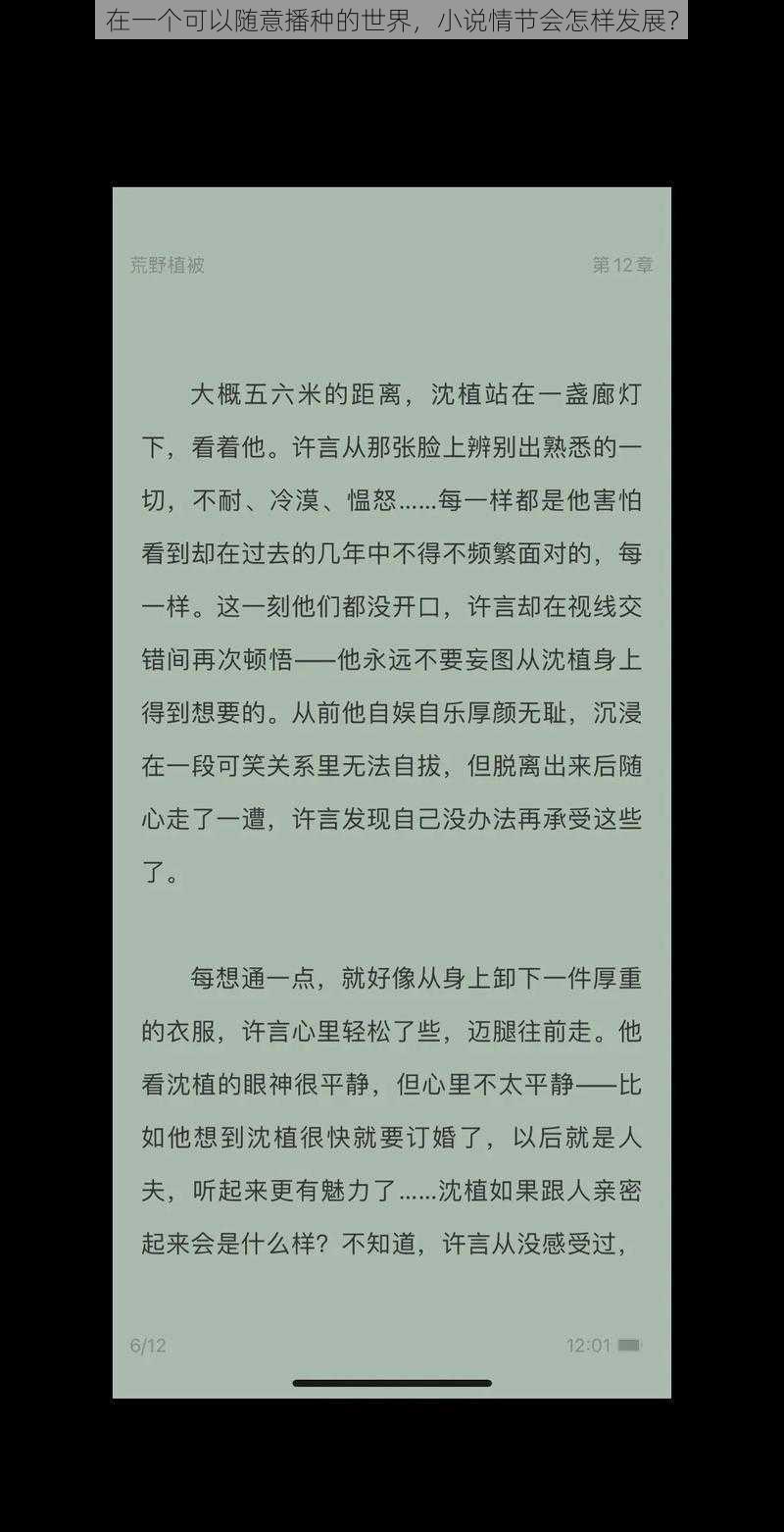 在一个可以随意播种的世界，小说情节会怎样发展？