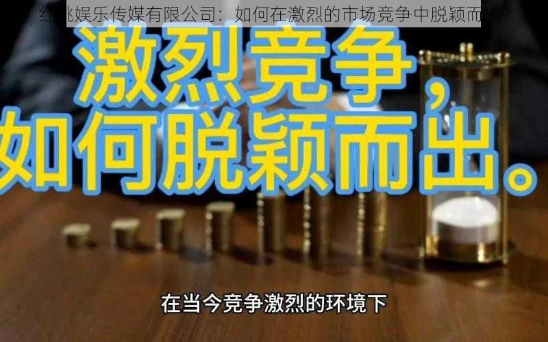 红桃娱乐传媒有限公司：如何在激烈的市场竞争中脱颖而出？